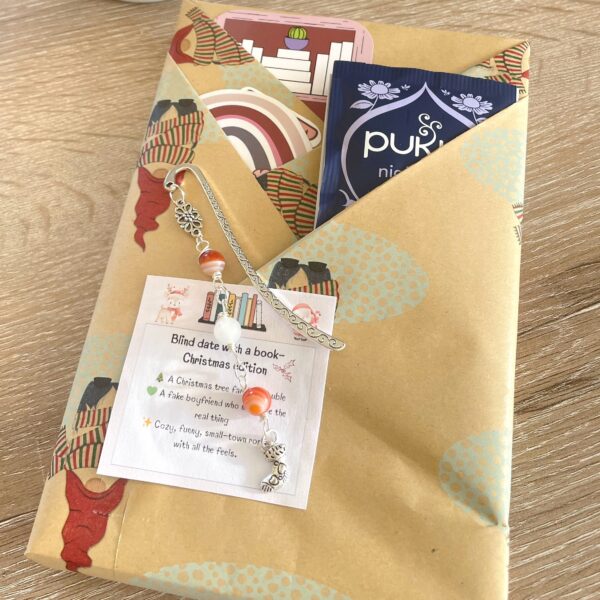 Christmas 🎄 Blind book date & crystal book mark bundle #5